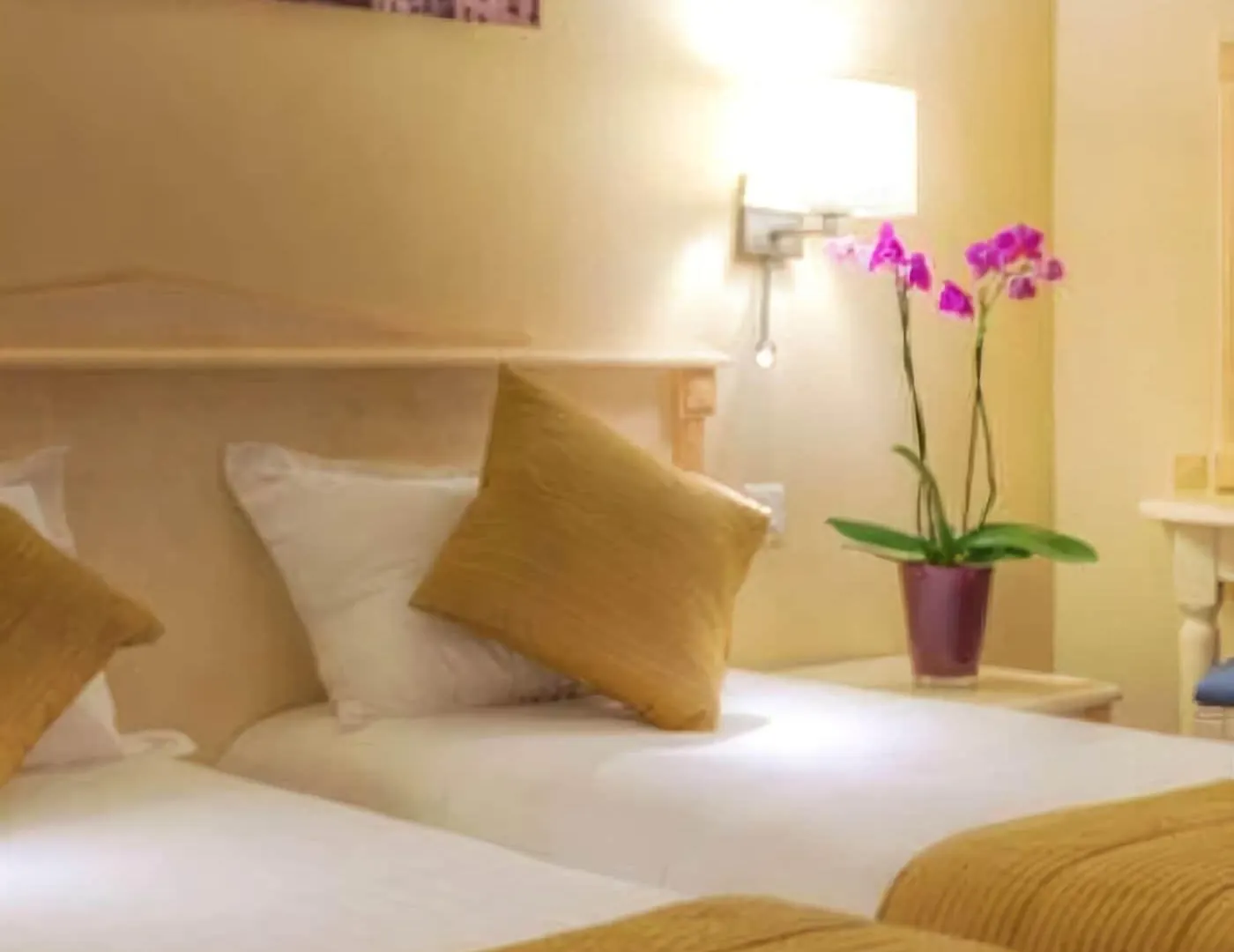 Louvre Sainte Anne Hotel 3*